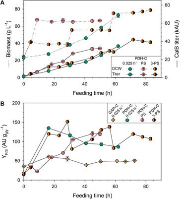 Enabling growth-decoupled Komagataella phaffii recombinant protein production based on the methanol-free PDH promoter